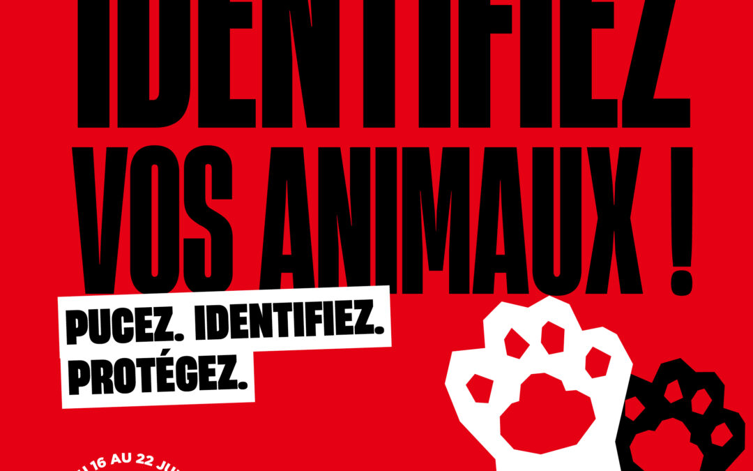 Semaine Nationale de l’identification