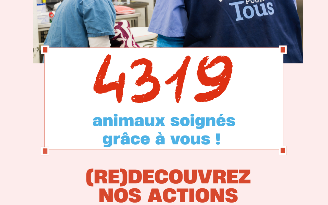 (Re)découvrez nos actions 2025