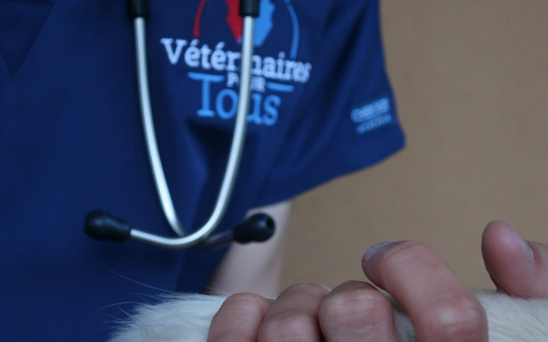 Vétérinaires Pour Tous écrit son avenir avec le soutien de nouveaux mécènes