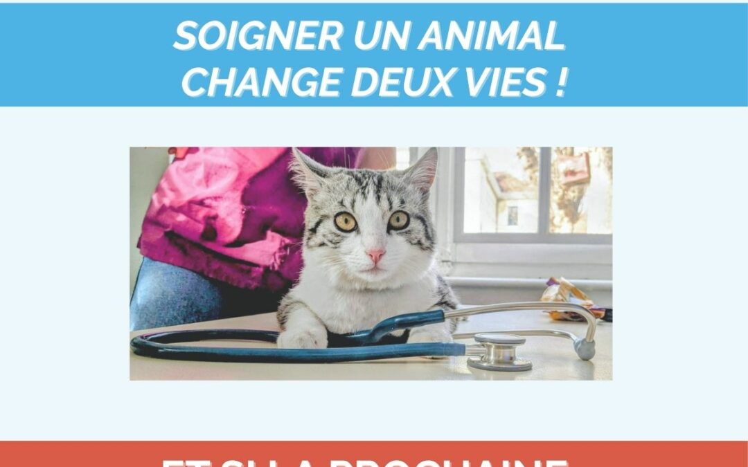 Challenge solidaire 2026